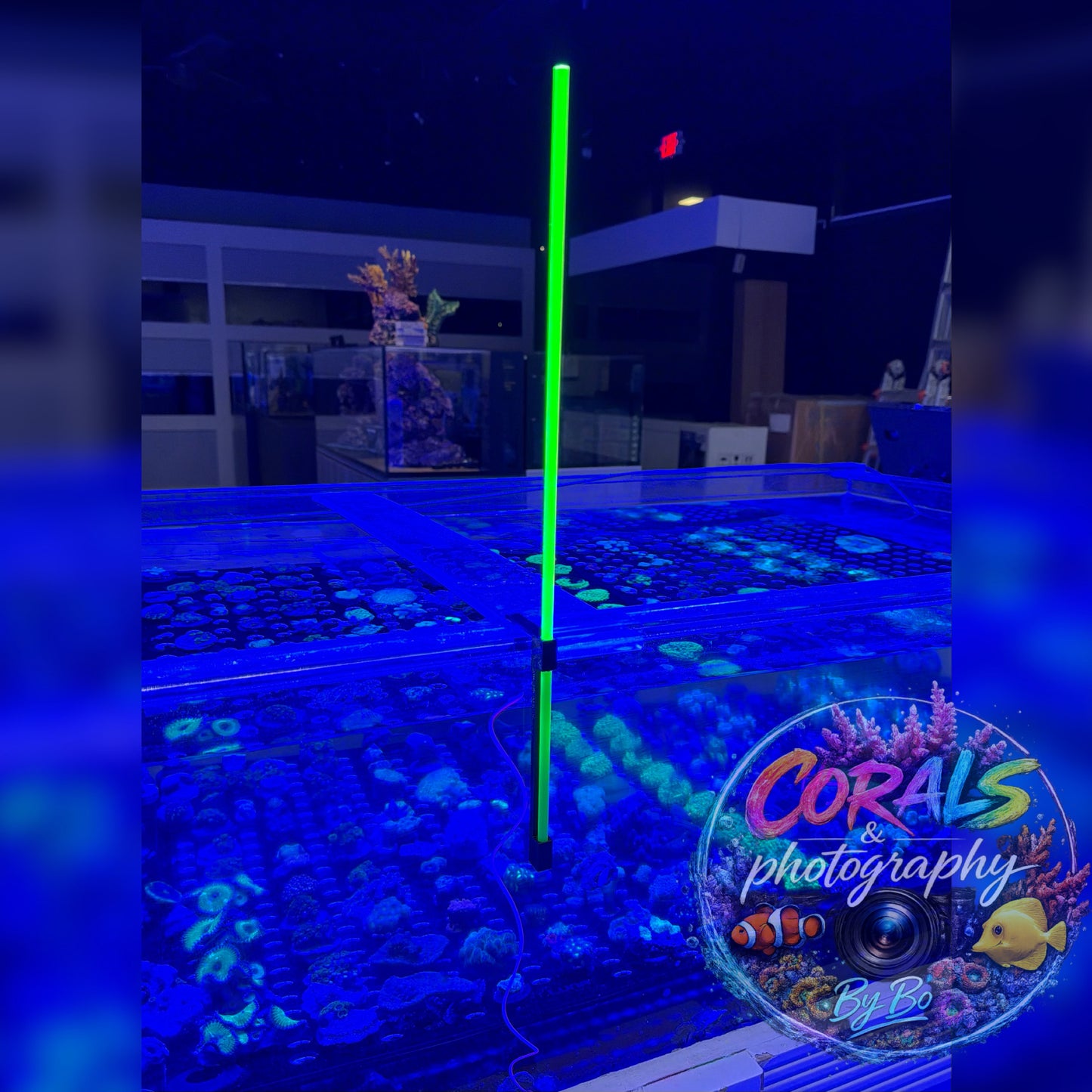 UV Coral Pointer & Holder