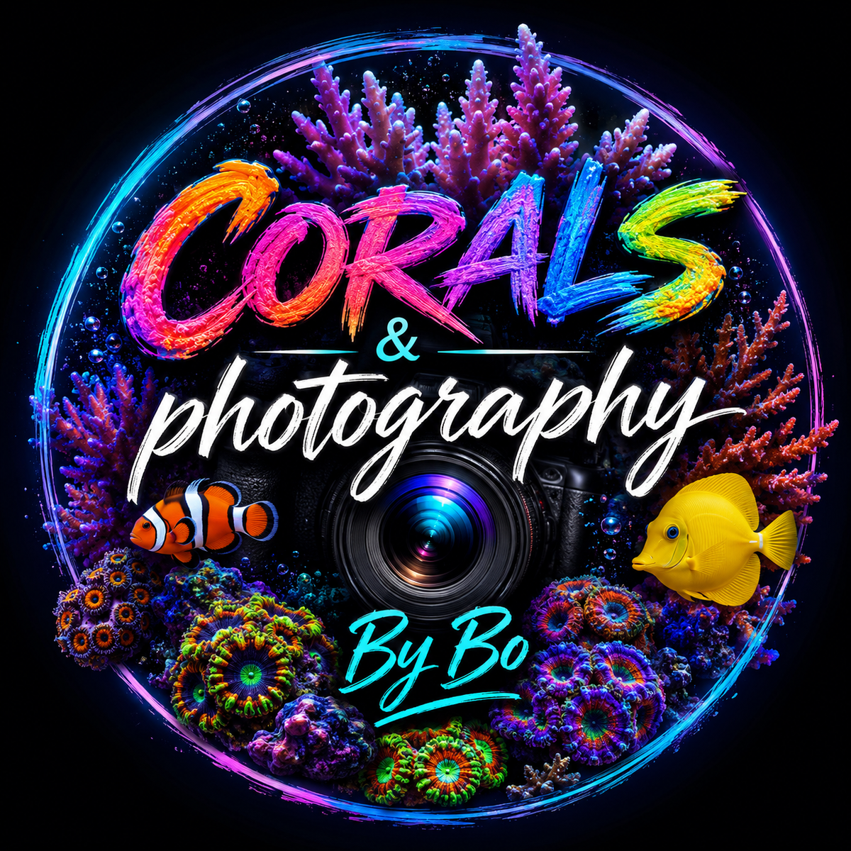 Corals Under $25