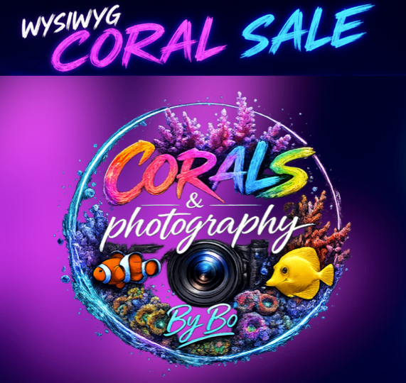 WYSIWYG CORALS