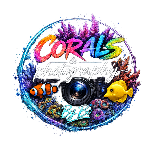 Corals & Photograph By Bo