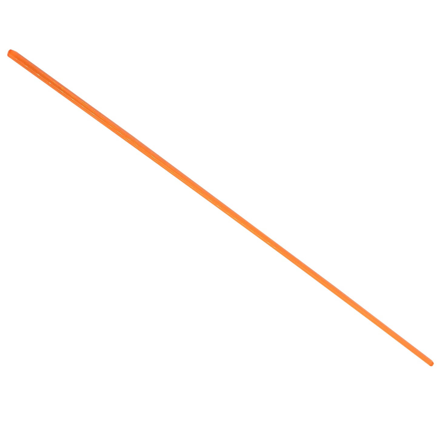 UV Coral Pointer & Holder