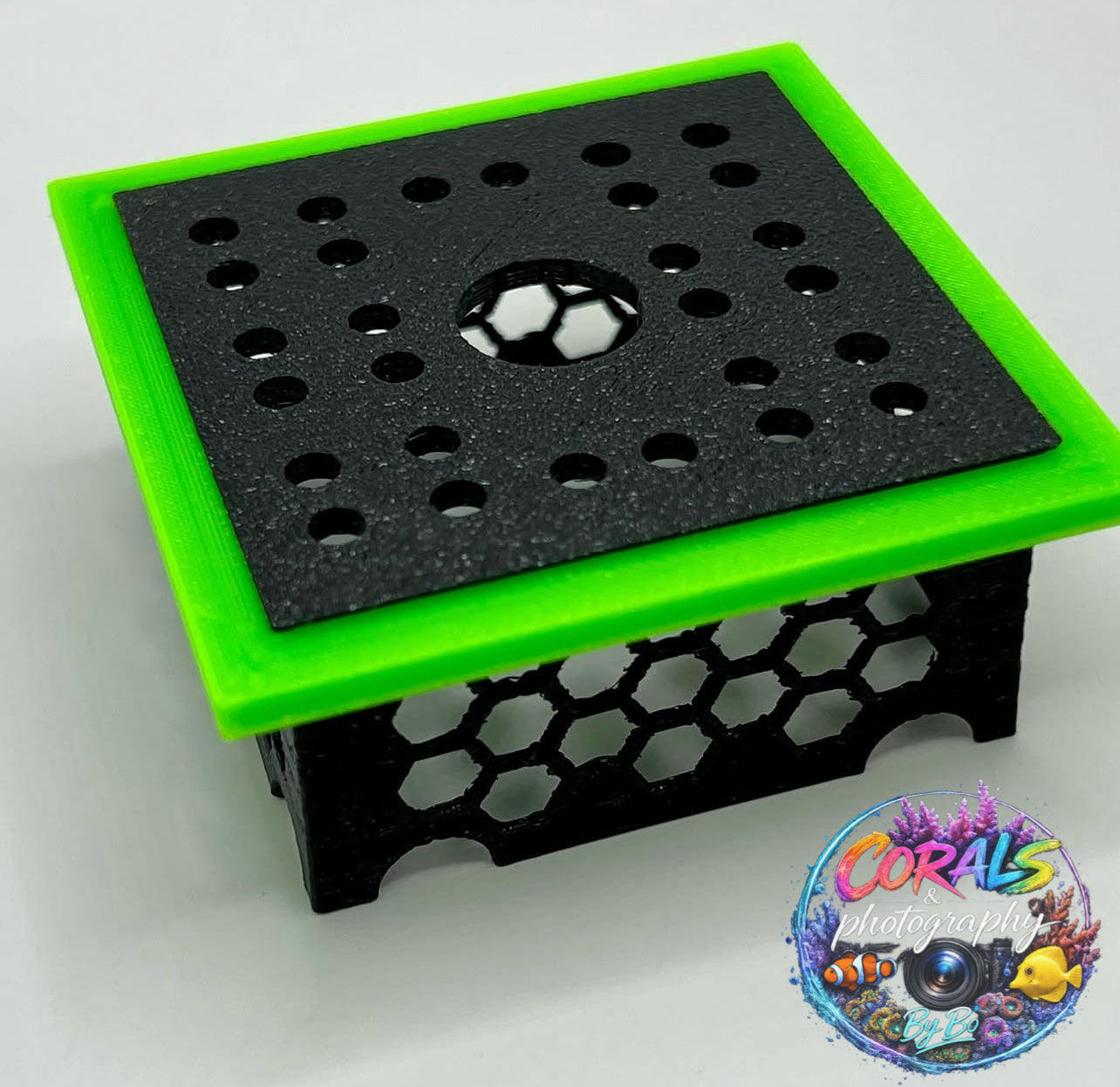 CORAL SHOW PIECE STAND