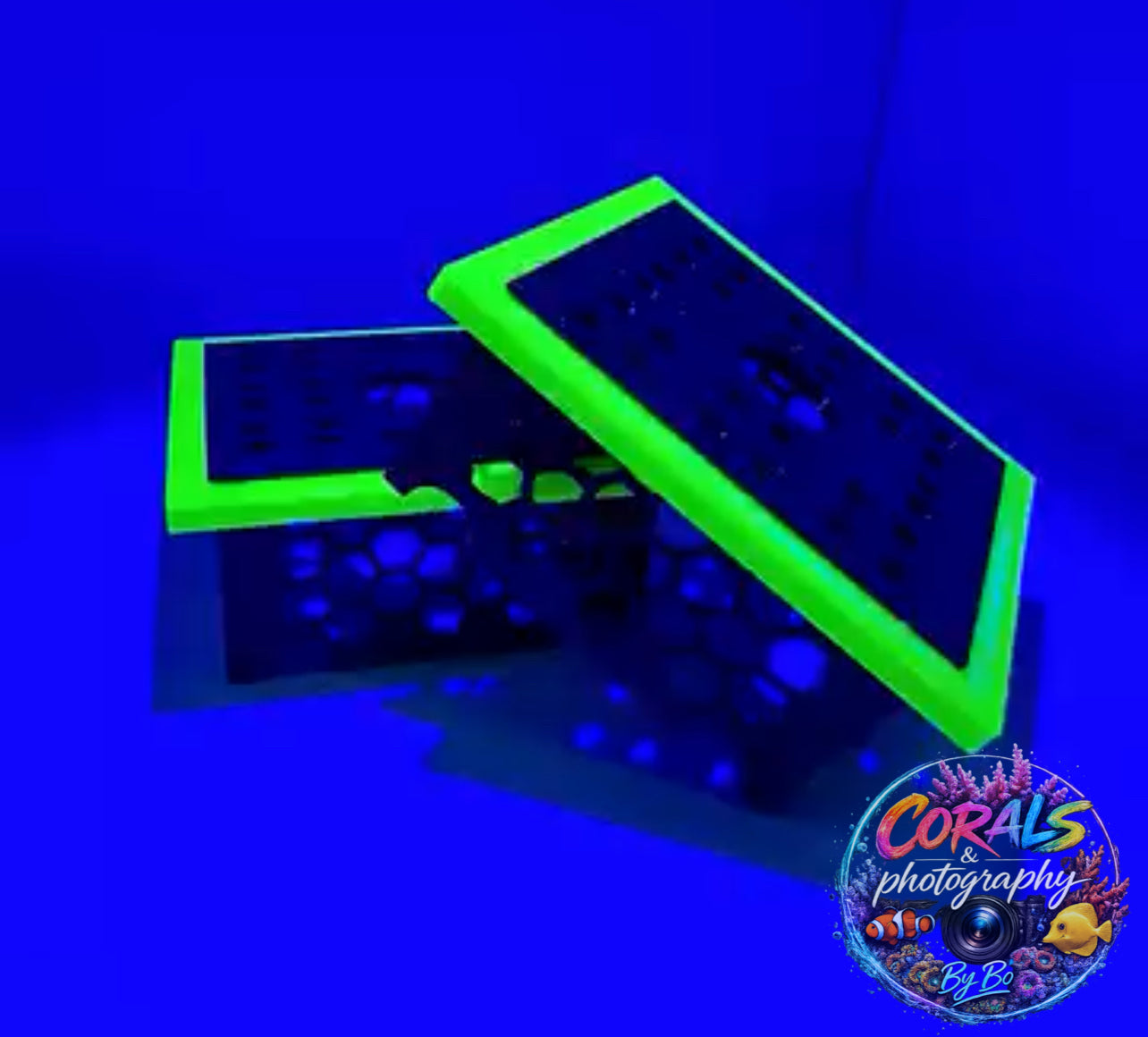 CORAL SHOW PIECE STAND
