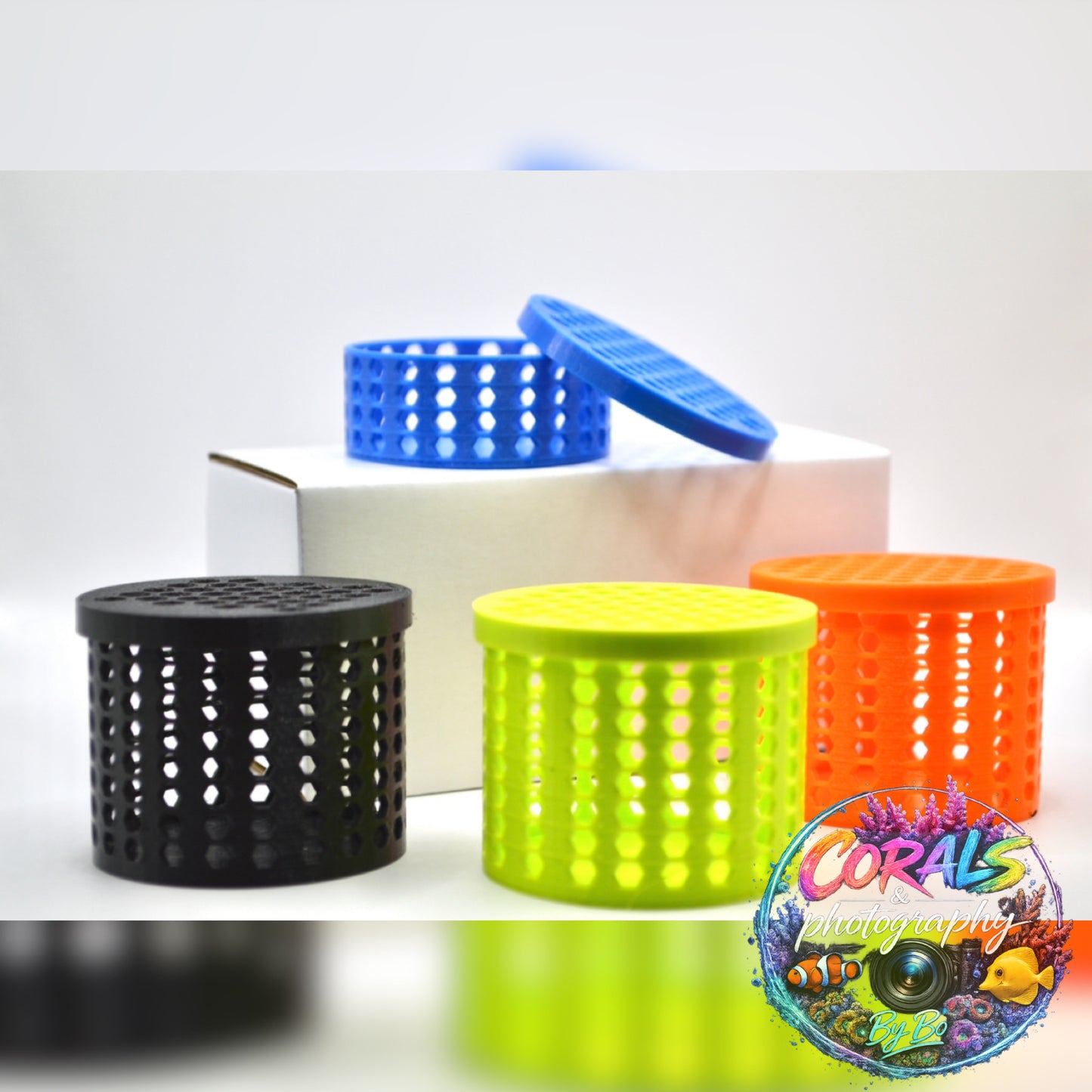 3D PRINTED MUSHROOM CAGES