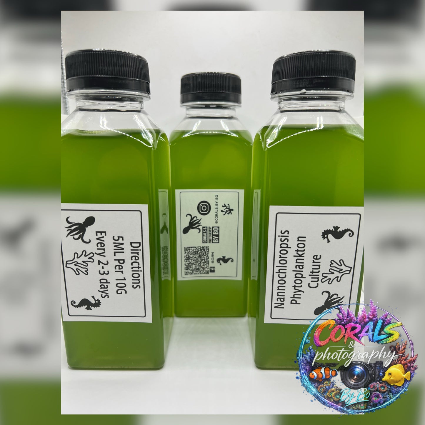Phyto "Live Cultures"