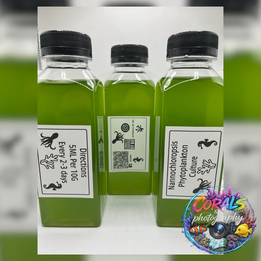 Phyto "Live Cultures"