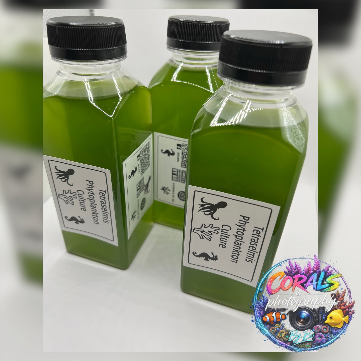 Phyto "Live Cultures"