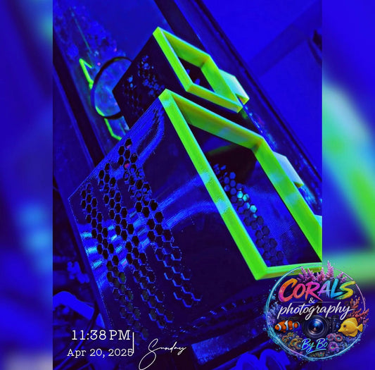 Hanging Coral Basket