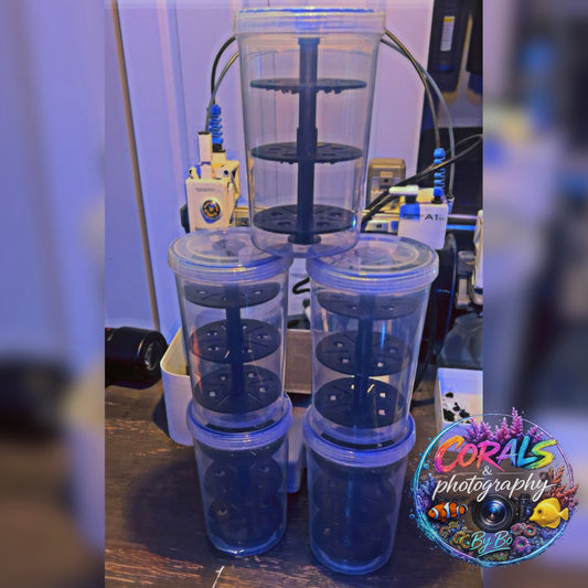 Travel Frag Container