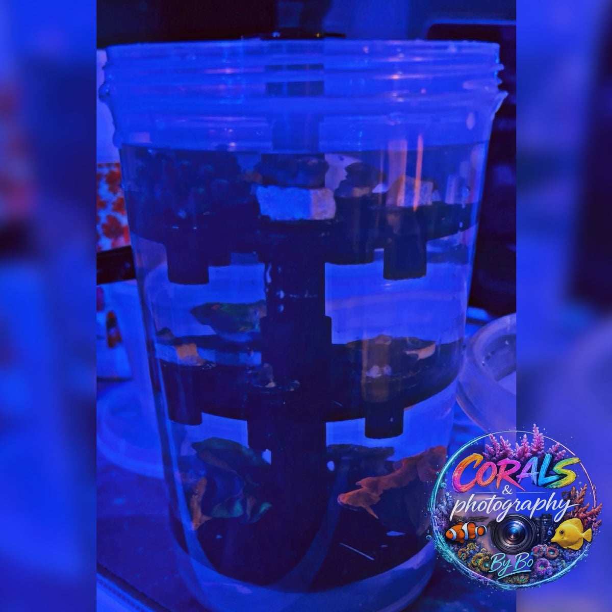 Travel Frag Container