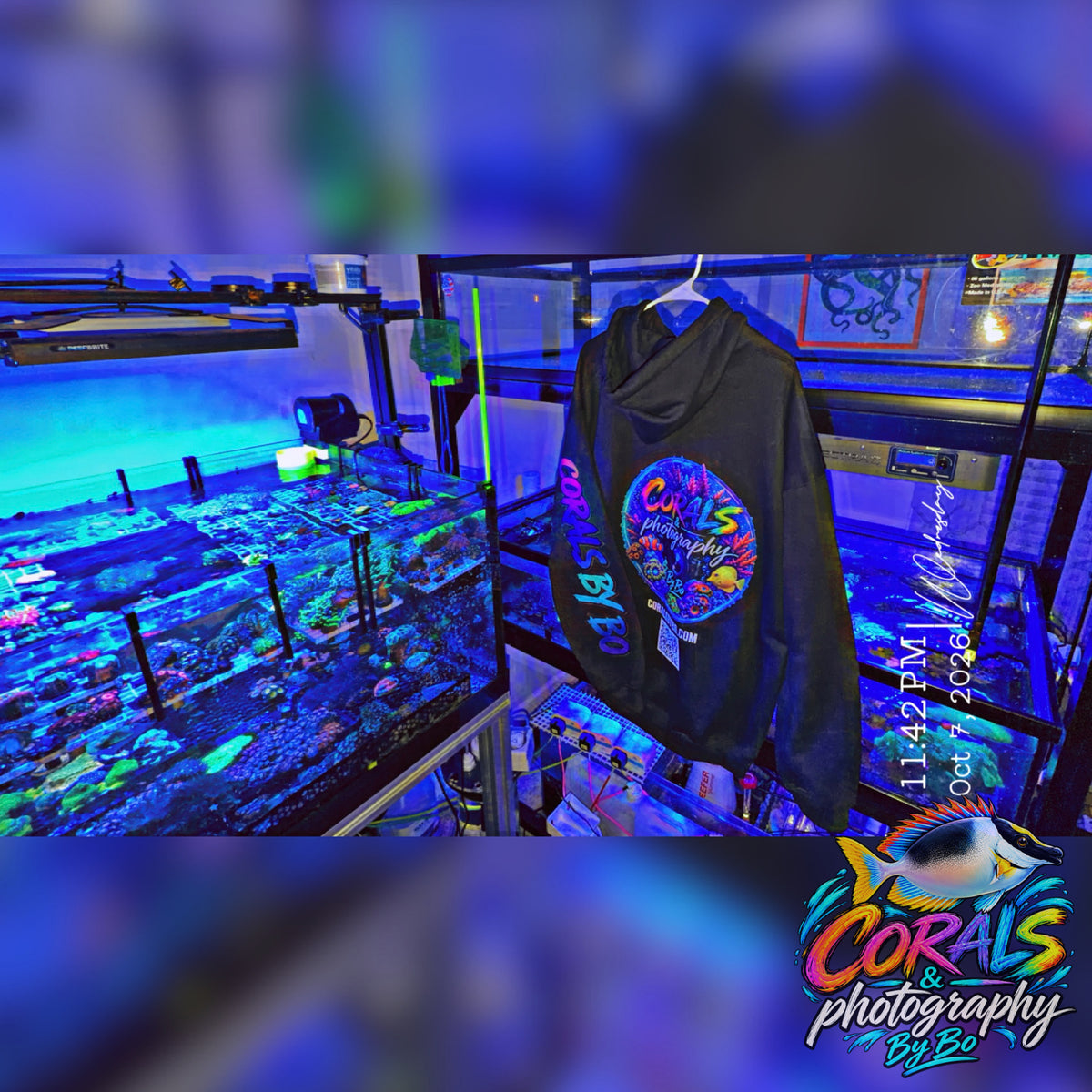 Corals By Bo "Pull Over Hoodie"