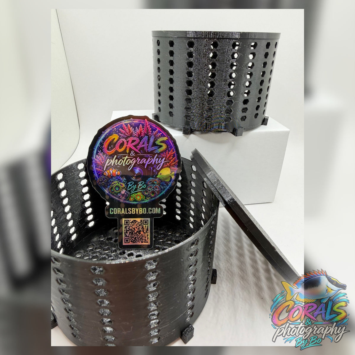 Corals By Bo Sticker "Holographic"