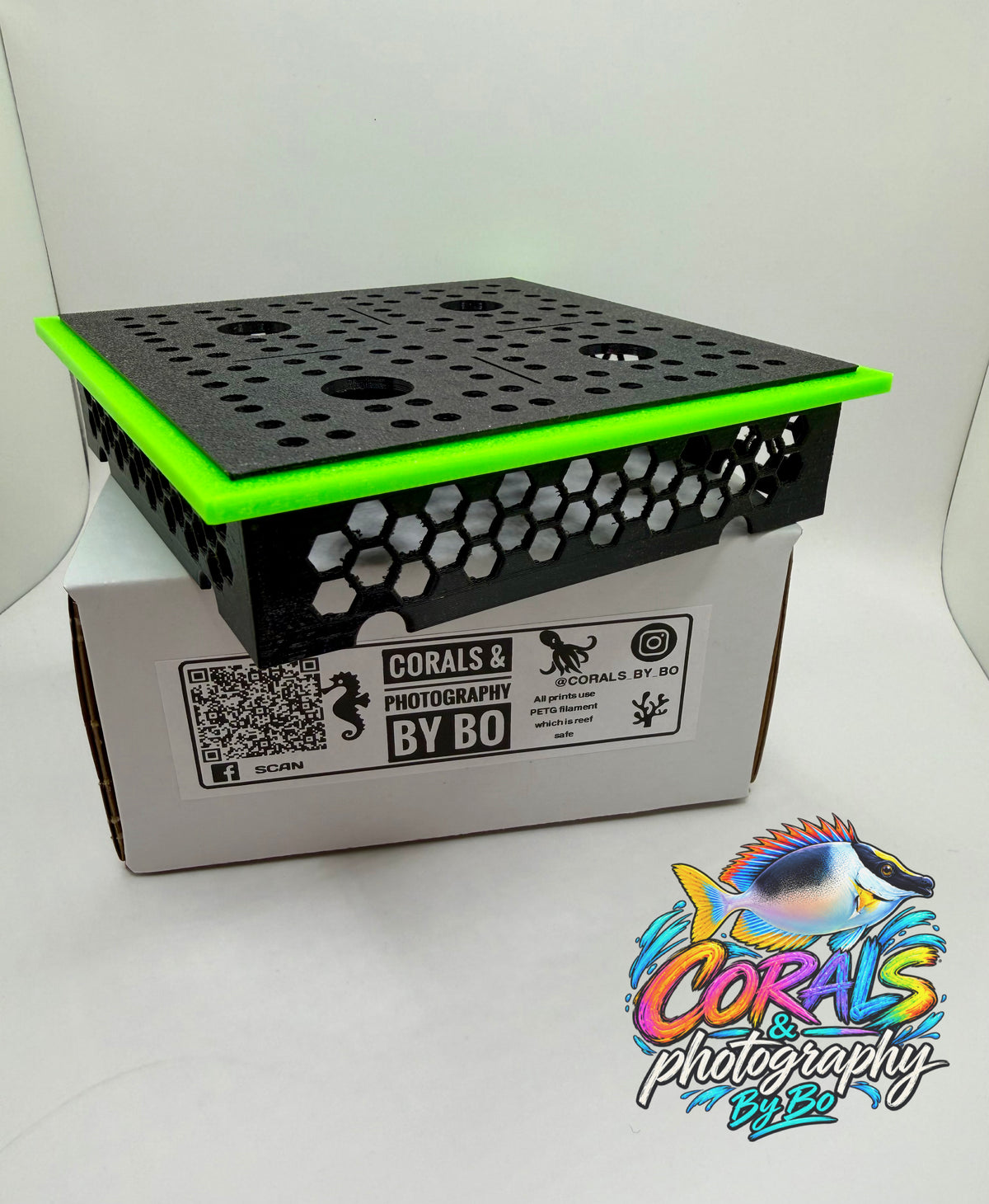 Coral Stand "Holds 4 Frags"