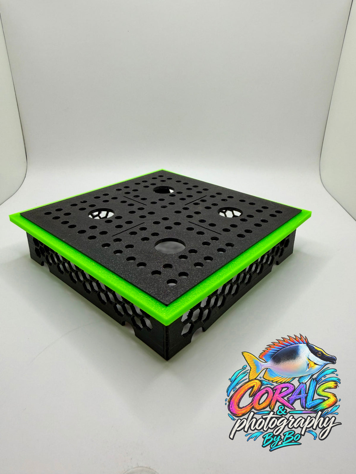 Coral Stand "Holds 4 Frags"