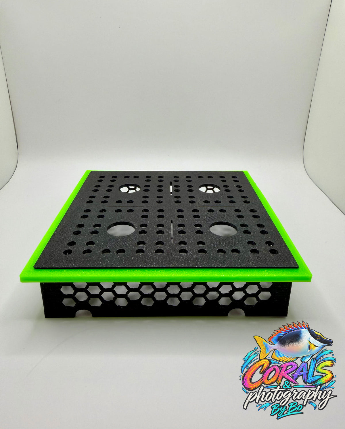 Coral Stand "Holds 4 Frags"