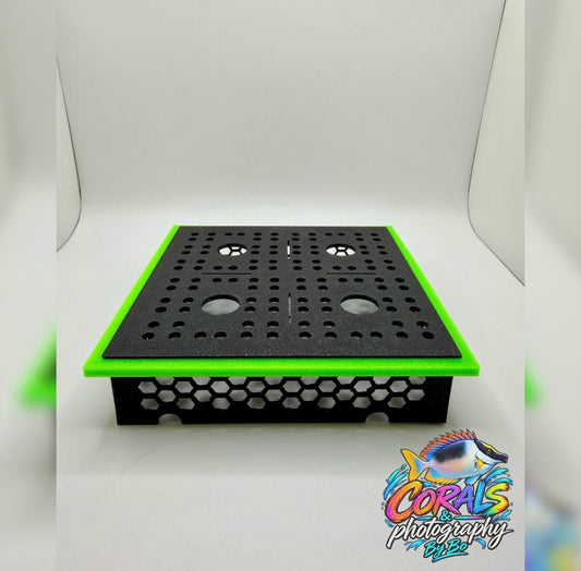 Coral Stand "Holds 4 Frags"