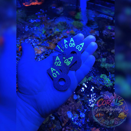 3D Printed Coral Tags